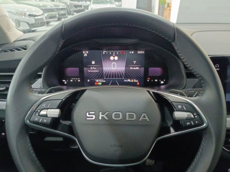 Skoda Kamiq usata a Catania (18)