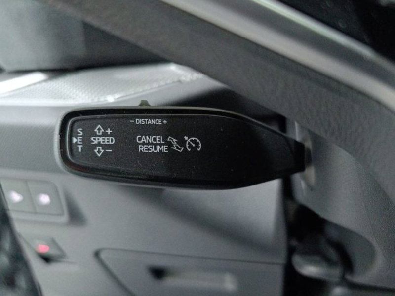 Skoda Kodiaq usata a Catania (19)