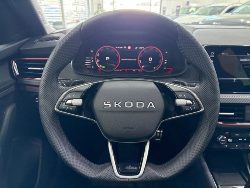 Skoda Kamiq usata a Catania (18)