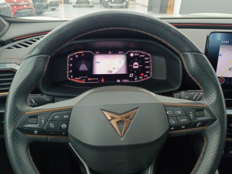 Cupra Formentor usata a Catania (17)