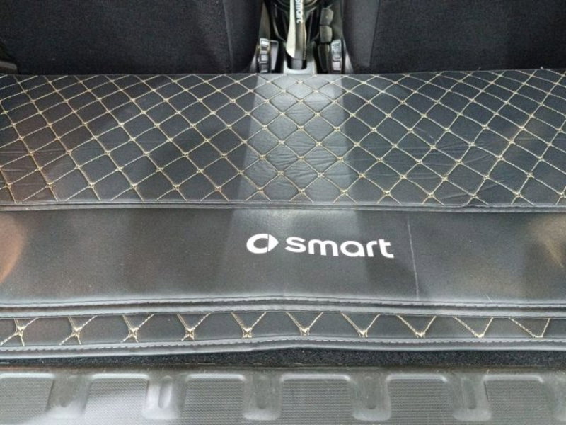 smart Fortwo usata a Catania (13)