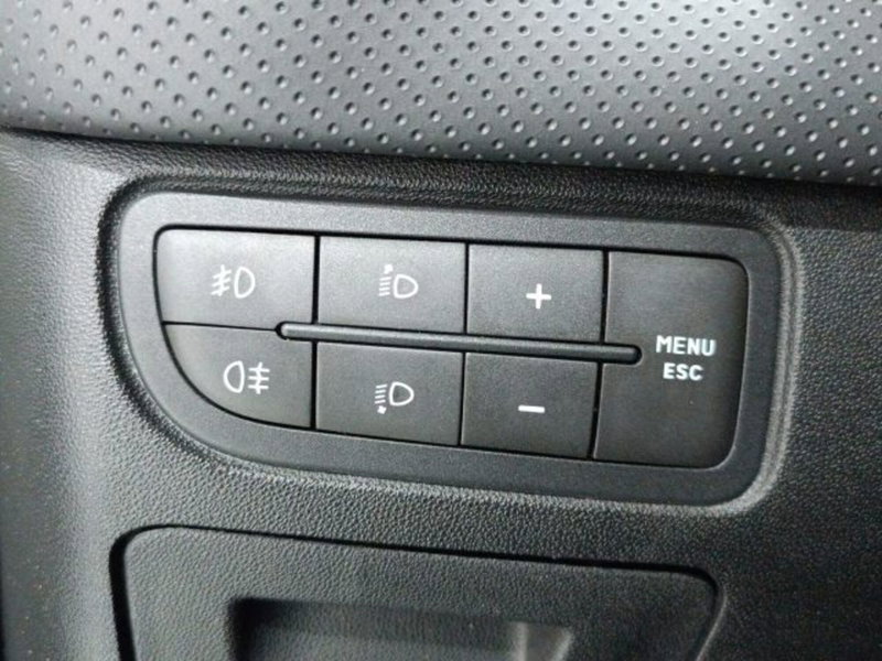 Fiat Punto Evo usata a Catania (18)