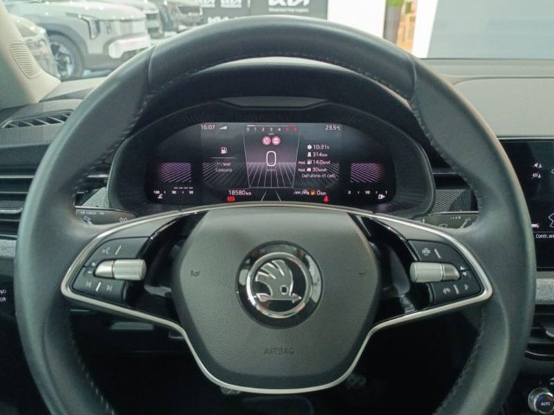 Skoda Kamiq usata a Catania (18)
