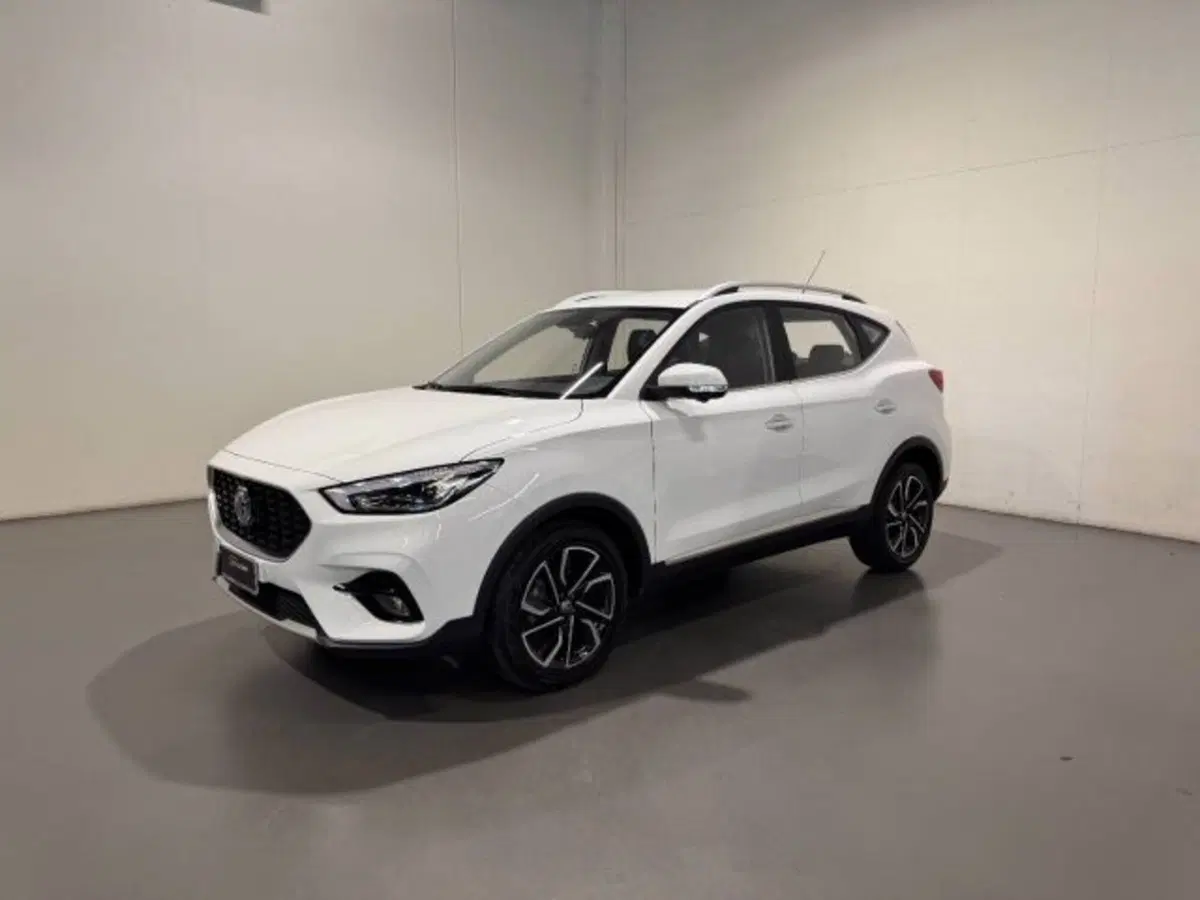Mg ZS usata a Treviso (2)