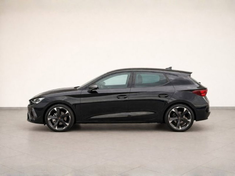 Cupra Leon usata a Treviso (4)