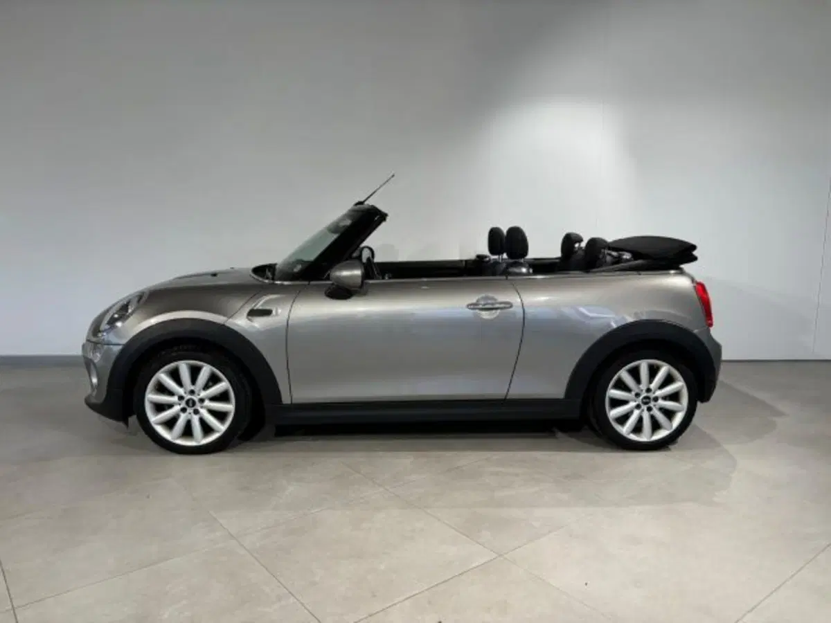 MINI Mini Cabrio usata a Treviso (4)