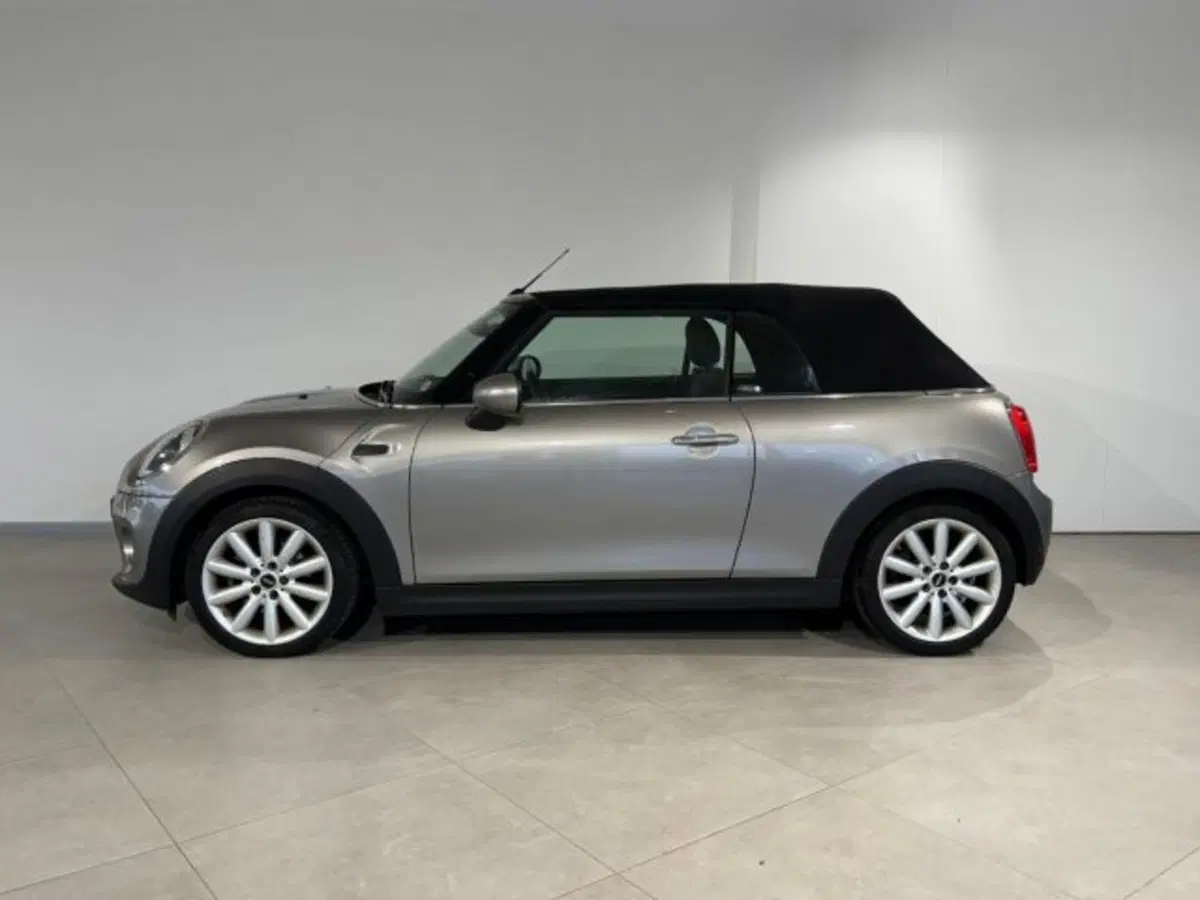 MINI Mini Cabrio usata a Treviso (5)