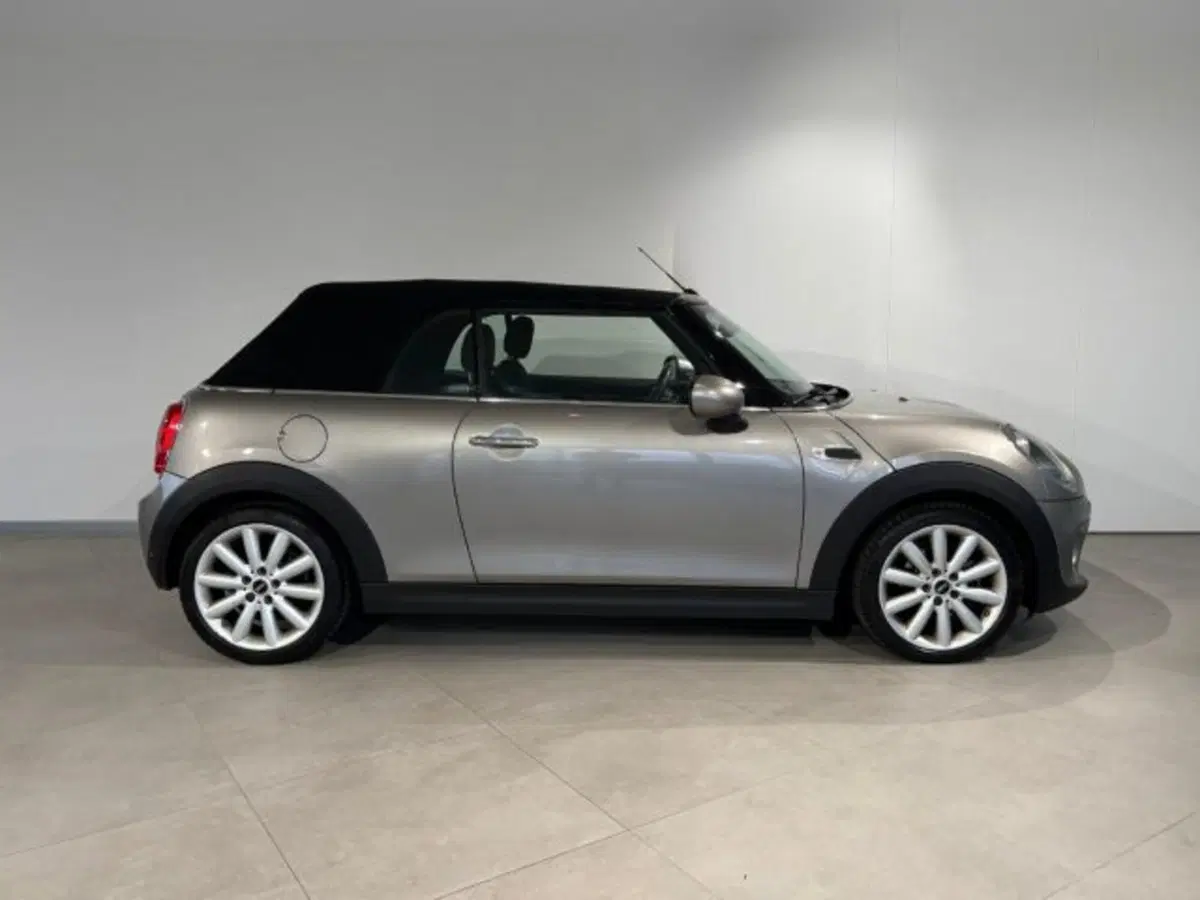 MINI Mini Cabrio usata a Treviso (6)