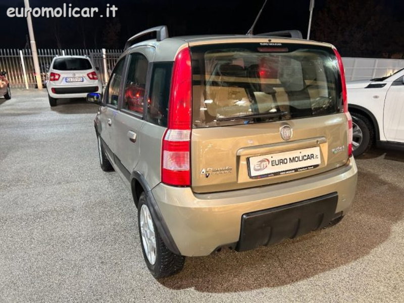Fiat Panda usata a Campobasso (2)