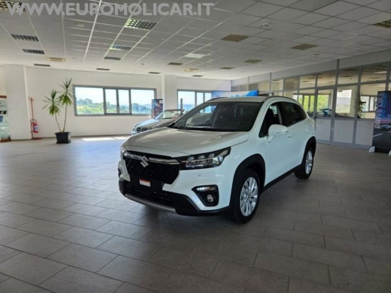 Suzuki S-Cross nuova a Campobasso (10)