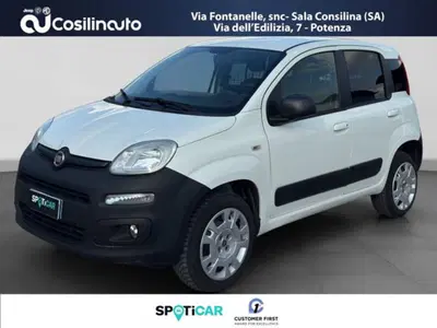 Fiat Panda 1.3 MJT 4x4 Pop Van 2 posti del 2016 usata a Sala Consilina