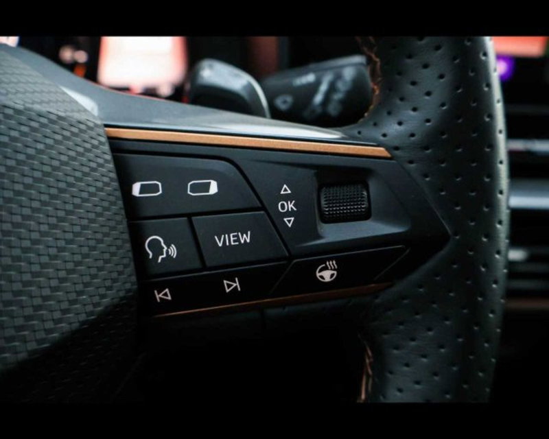 Cupra Formentor usata a Bologna (18)