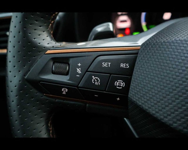 Cupra Formentor usata a Bologna (19)