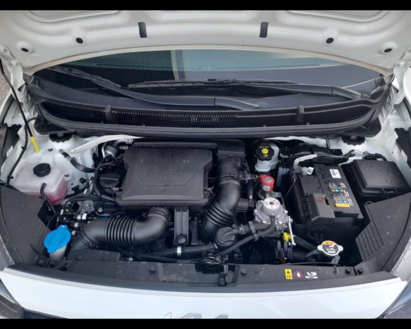 Kia Picanto usata a Bologna (14)