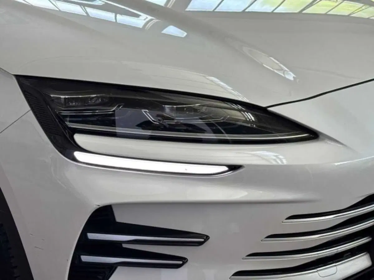 Byd Seal U DM-i  usata a Bologna (7)