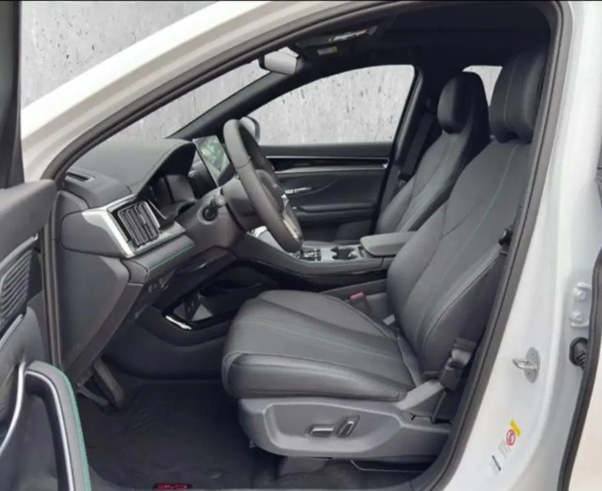 Byd Seal U DM-i  usata a Bologna (11)
