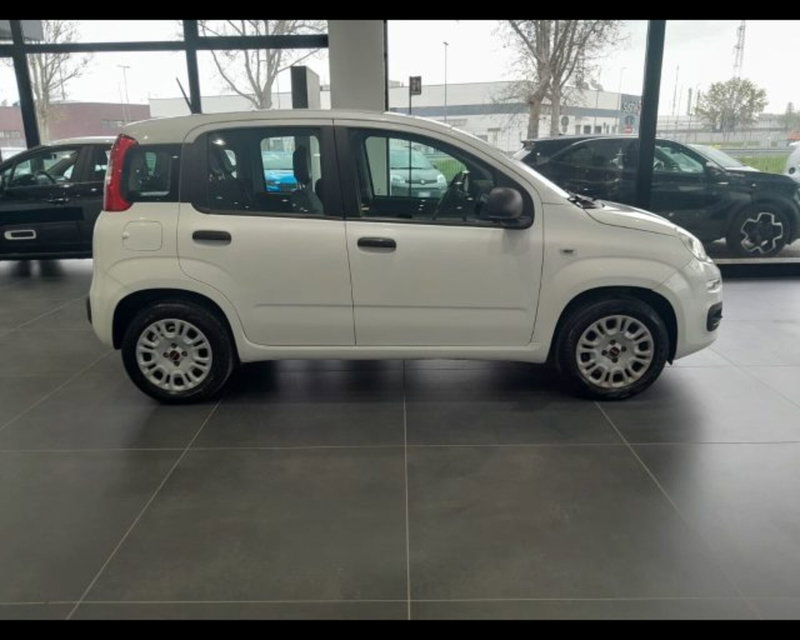 Fiat Panda usata a Bologna (4)