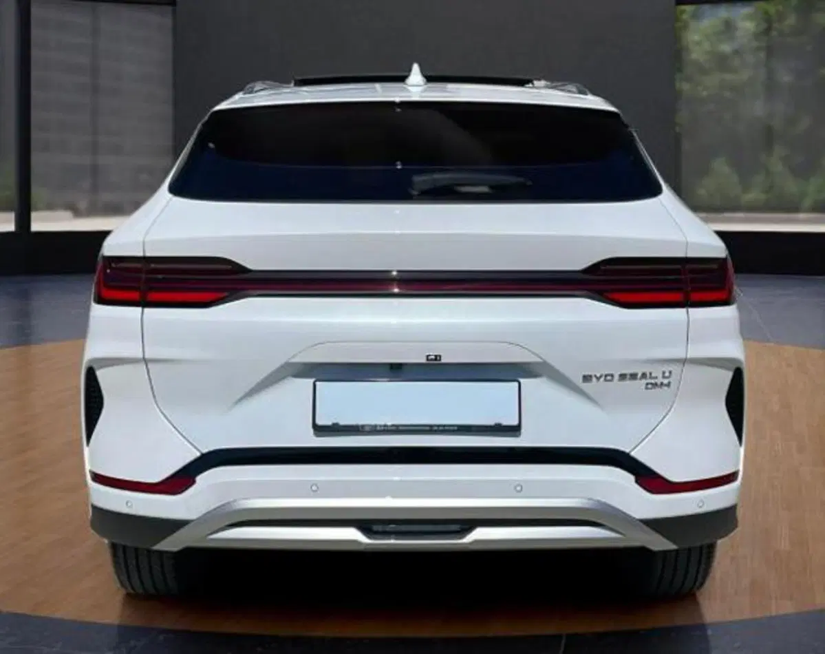 Byd Seal U DM-i  usata a Bologna (4)