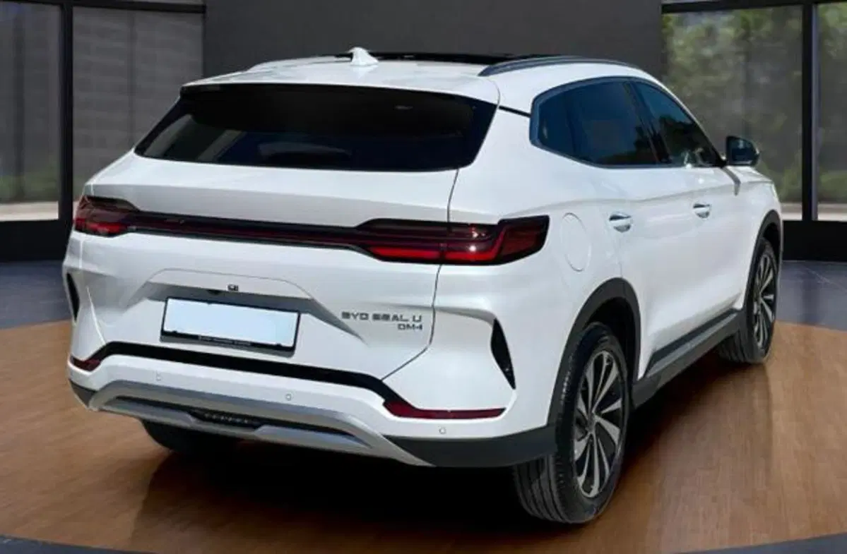 Byd Seal U DM-i  usata a Bologna (5)