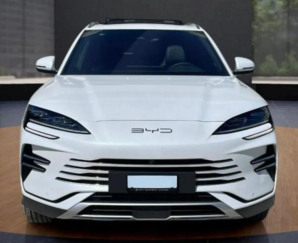 Byd Seal U DM-i  usata a Bologna (8)