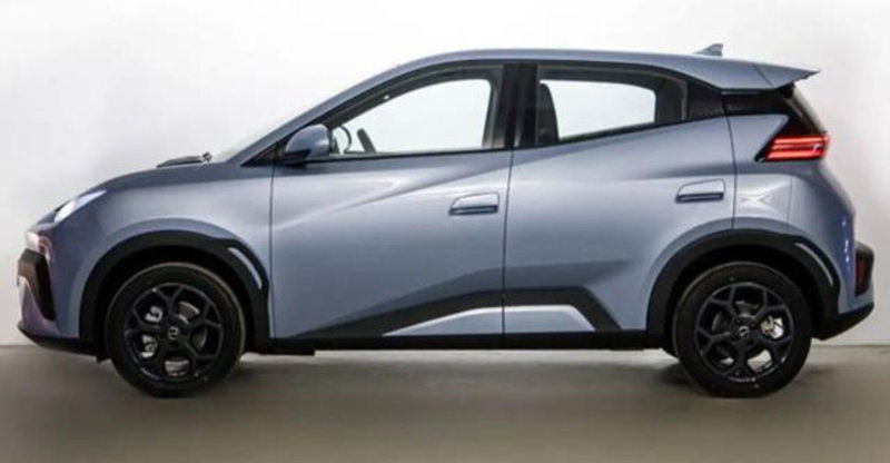 Byd Dolphin Surf usata a Bologna (3)