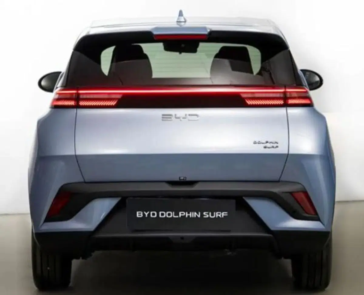 Byd Dolphin Surf usata a Bologna (5)