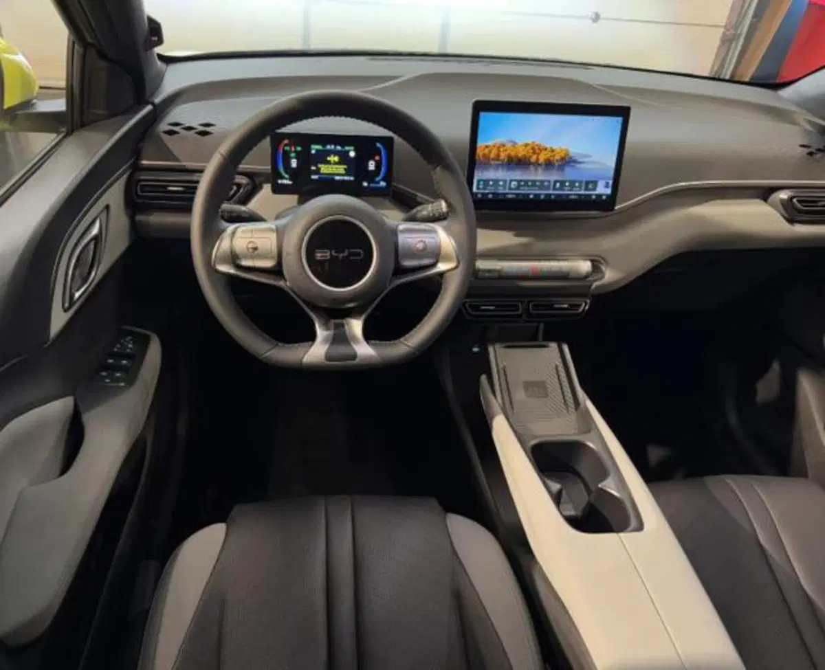 Byd Dolphin Surf usata a Bologna (10)