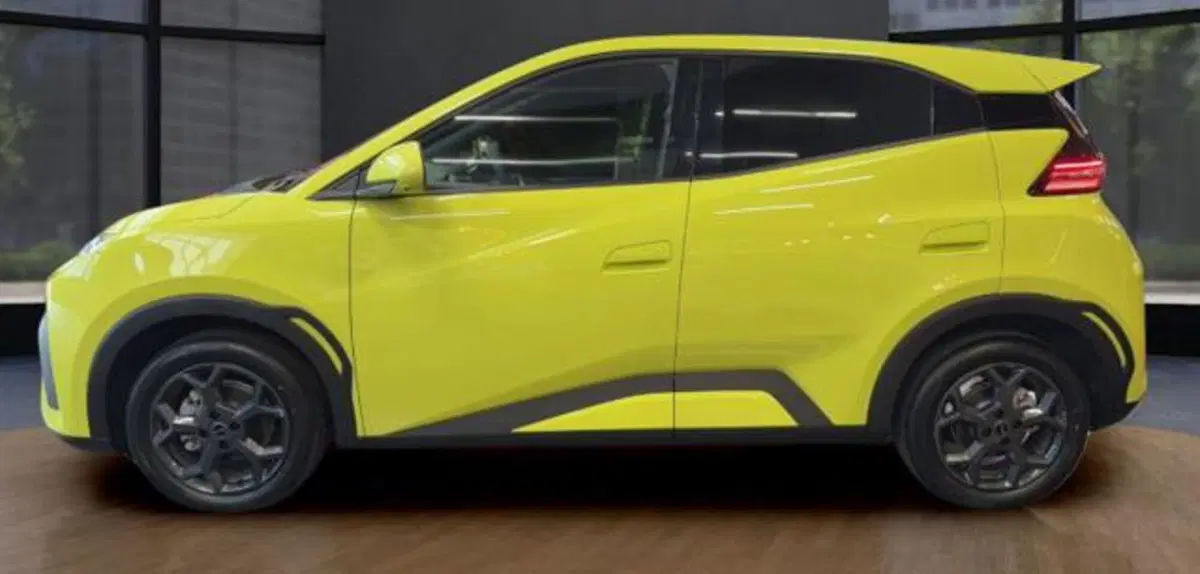 Byd Dolphin Surf usata a Bologna (2)