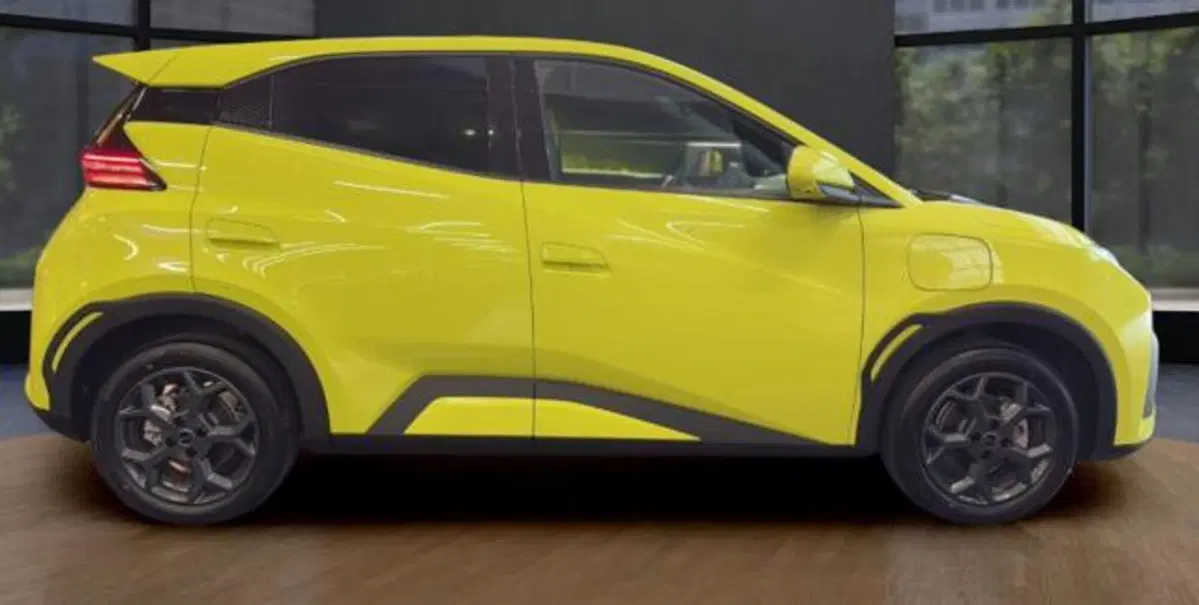 Byd Dolphin Surf usata a Bologna (6)