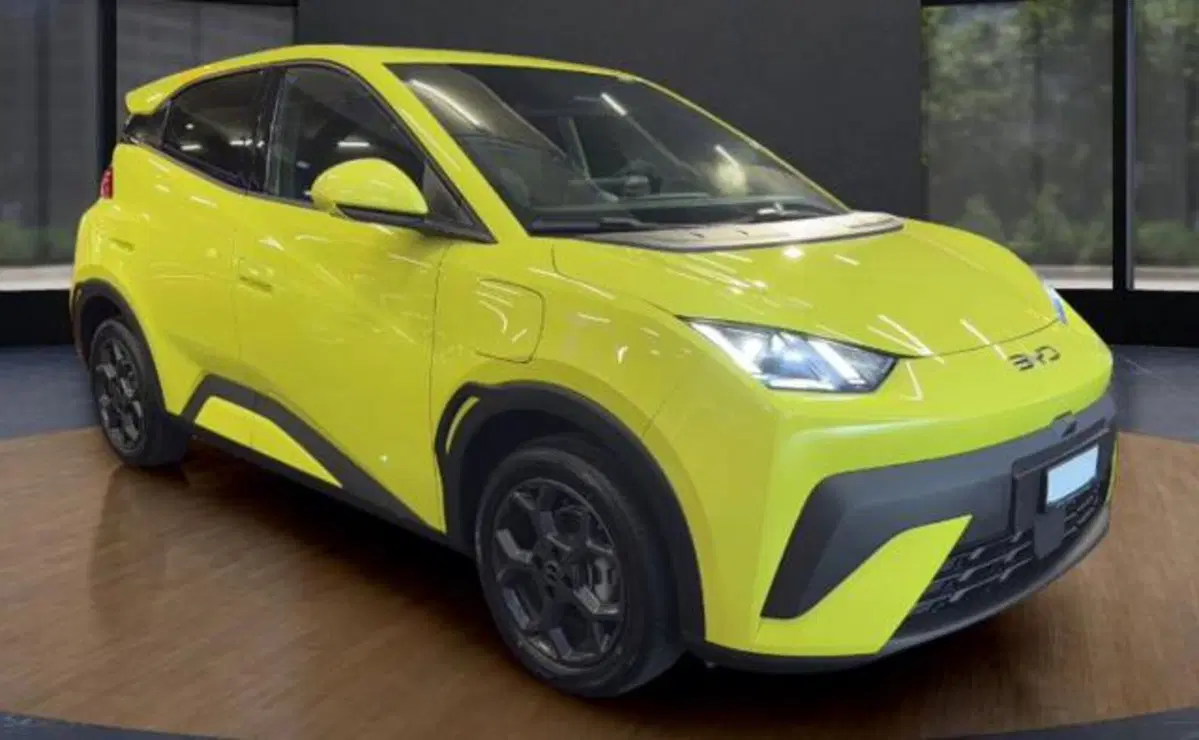 Byd Dolphin Surf usata a Bologna (7)
