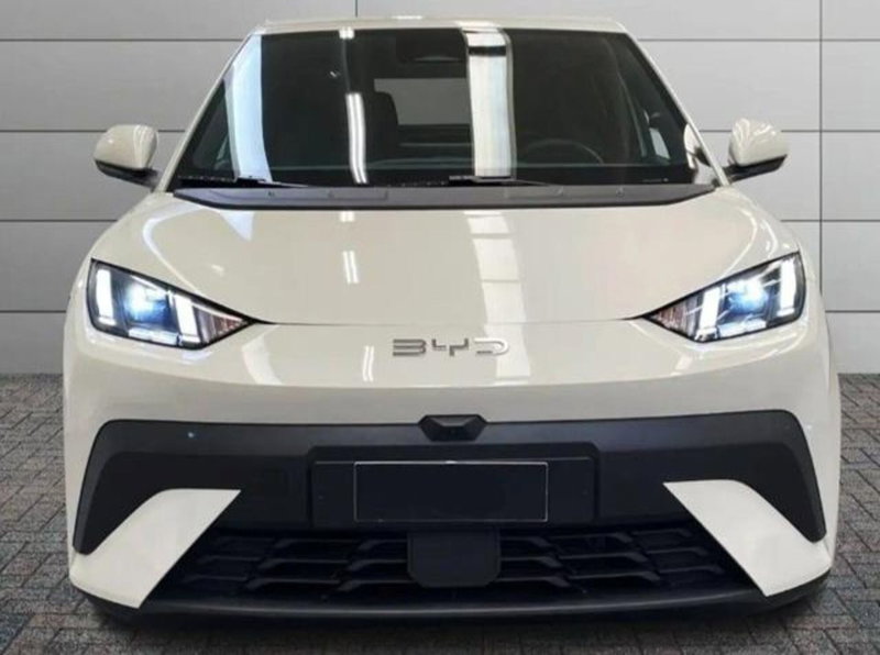 Byd Dolphin Surf usata a Bologna