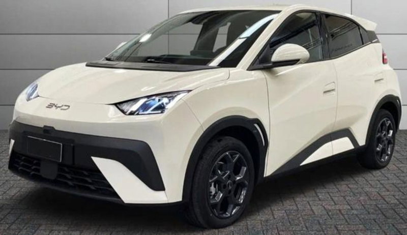 Byd Dolphin Surf usata a Bologna (2)