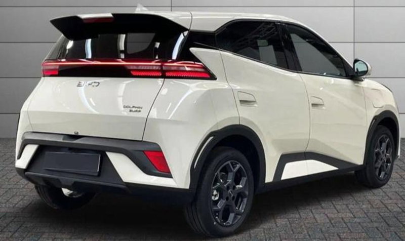 Byd Dolphin Surf usata a Bologna (3)