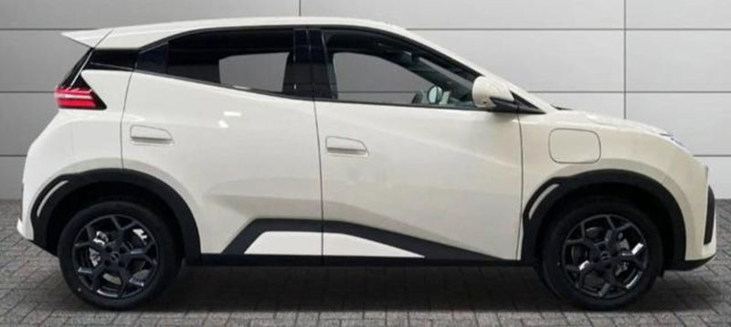 Byd Dolphin Surf usata a Bologna (5)