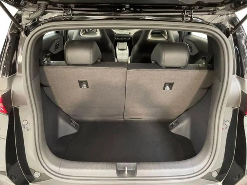 Byd Dolphin Surf usata a Bologna (7)