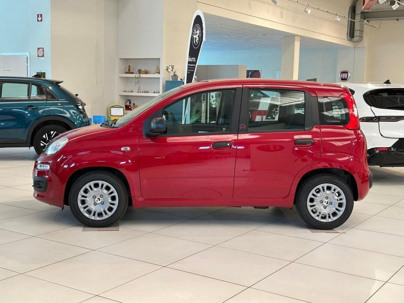 Fiat Pandina nuova a Sondrio (2)