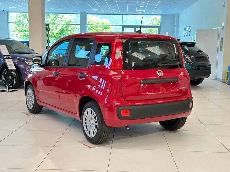 Fiat Pandina nuova a Sondrio (3)