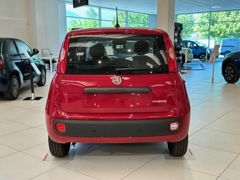 Fiat Pandina nuova a Sondrio (4)