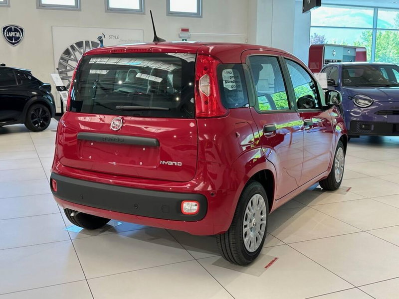 Fiat Pandina nuova a Sondrio (5)