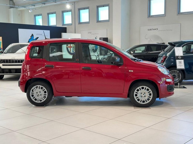 Fiat Pandina nuova a Sondrio (6)