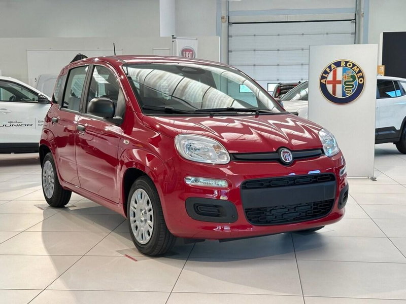 Fiat Pandina nuova a Sondrio (7)