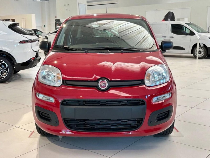 Fiat Pandina nuova a Sondrio (8)