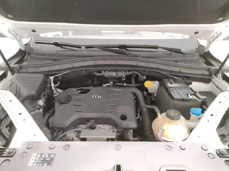 Mg HS usata a Teramo (10)