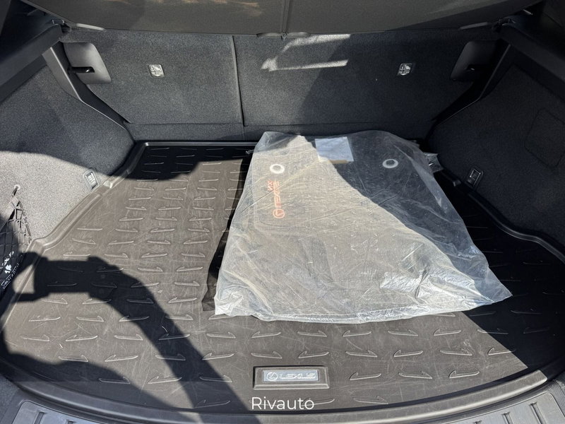 Lexus NX usata a Como (10)