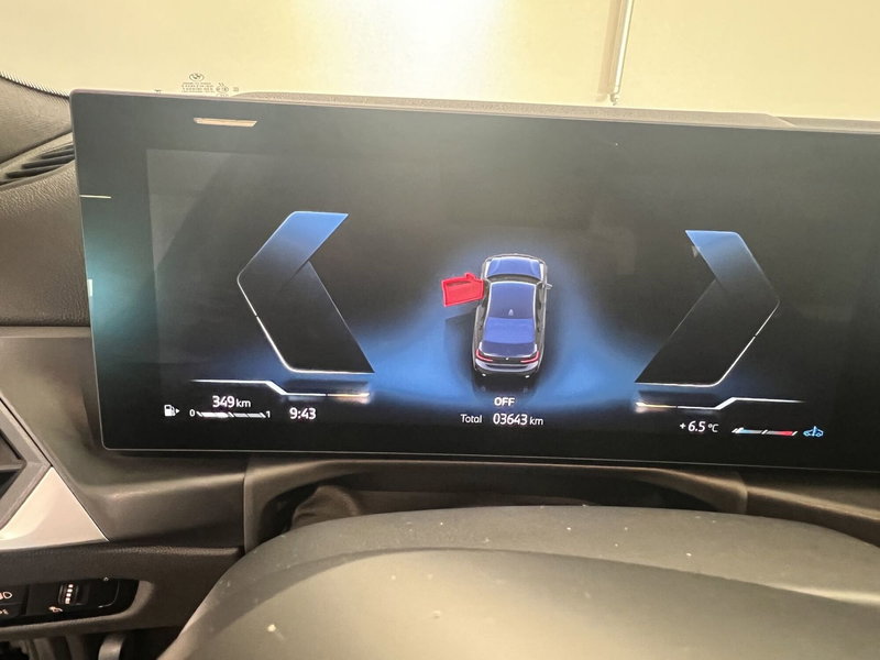 BMW Serie 3 usata a Torino (13)