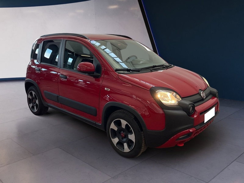 Fiat Panda usata a Torino (2)