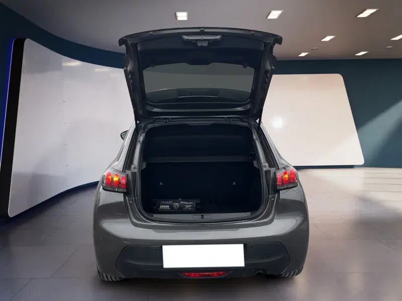 Peugeot 208 usata a Torino (7)