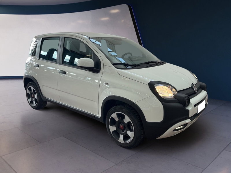 Fiat Panda usata a Torino (2)