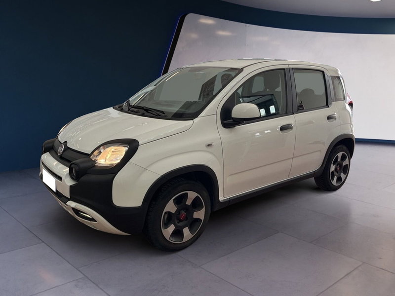Fiat Panda usata a Torino (3)