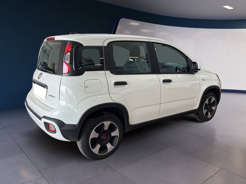 Fiat Panda usata a Torino (6)